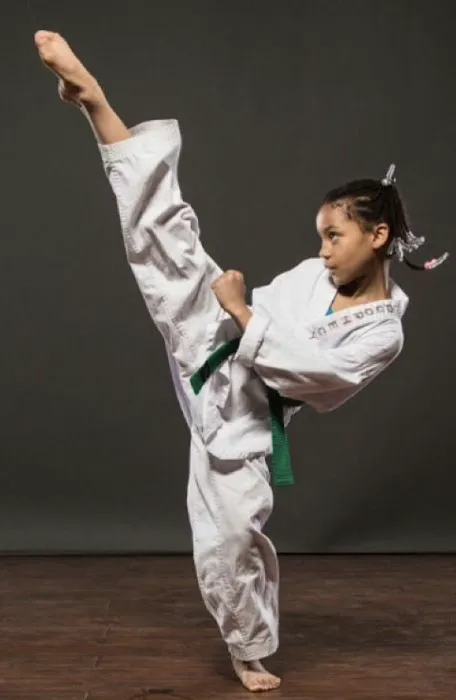 Twin Tigers Taekwondo North Carolina Picture 6