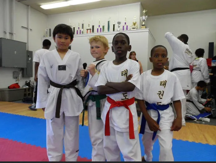 Twin Tigers Taekwondo North Carolina Picture 7