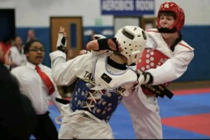 Twin Tigers Taekwondo North Carolina Picture 10