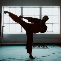 Mind Body and Spirit Martial Arts ico