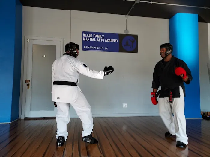 Blade Family Martial Arts Academy Picture 8