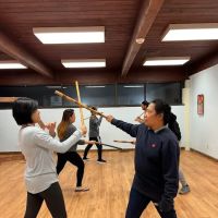 Modern Island Warrior ico