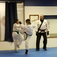 Beech Grove Tang Soo Do ico