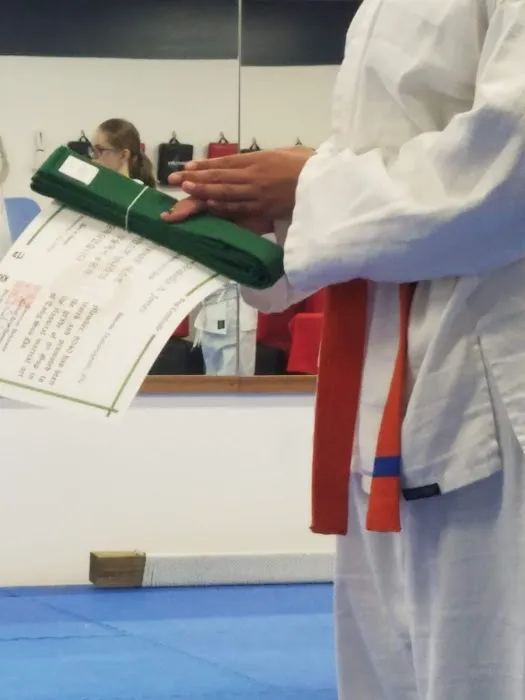 Beech Grove Tang Soo Do Picture 9