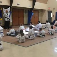 Korea Taekwondo Academy (KTA) Southeast ico