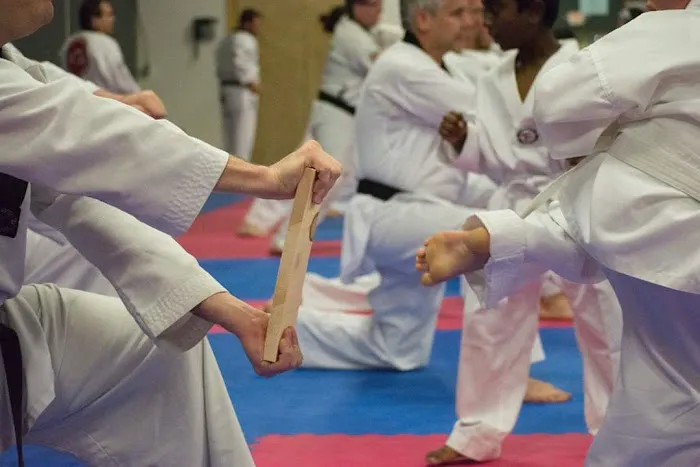 Korea Taekwondo Academy (KTA) Southeast Picture 7