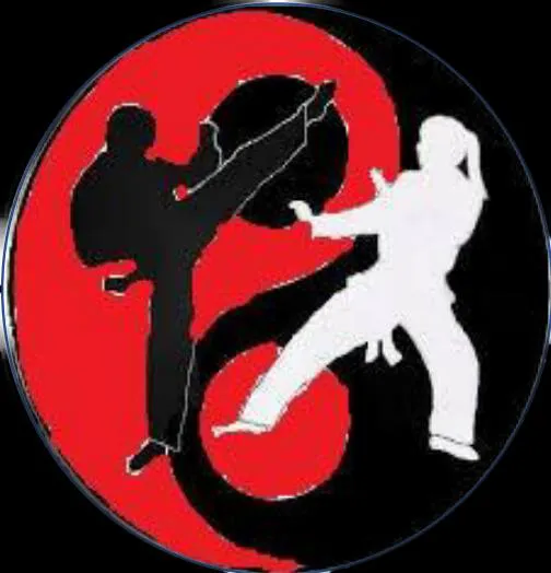 Strength Martial Arts Academy Picture 4