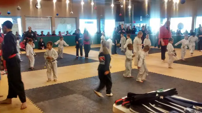 Level 10 Martial Arts College Picture 1