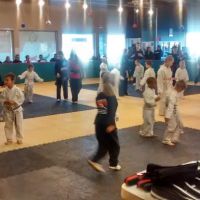 Level 10 Martial Arts College ico