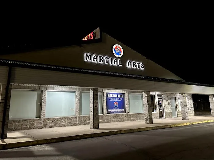 Level 10 Martial Arts College Picture 4