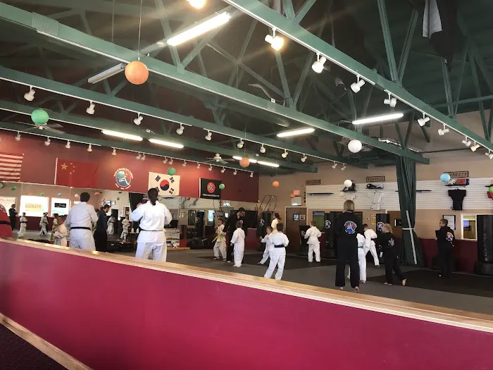 Level 10 Martial Arts College Picture 5