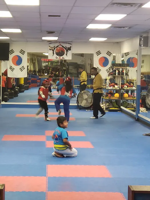 Instituto de Taekwondo USA Picture 1