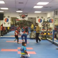 Instituto de Taekwondo USA ico