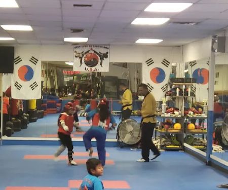 Instituto de Taekwondo USA