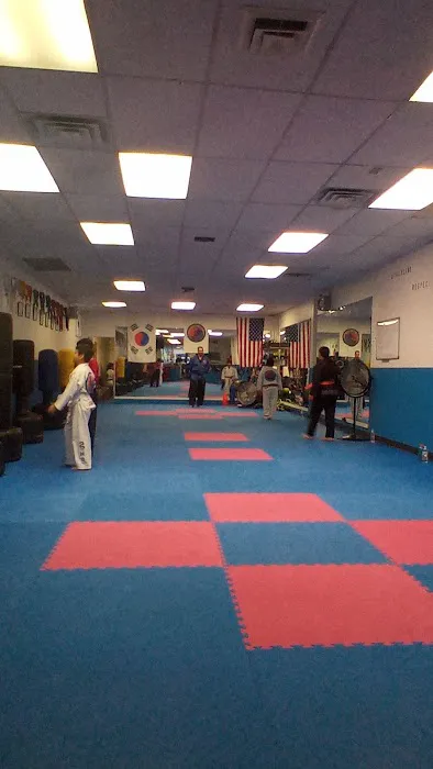 Instituto de Taekwondo USA Picture 2