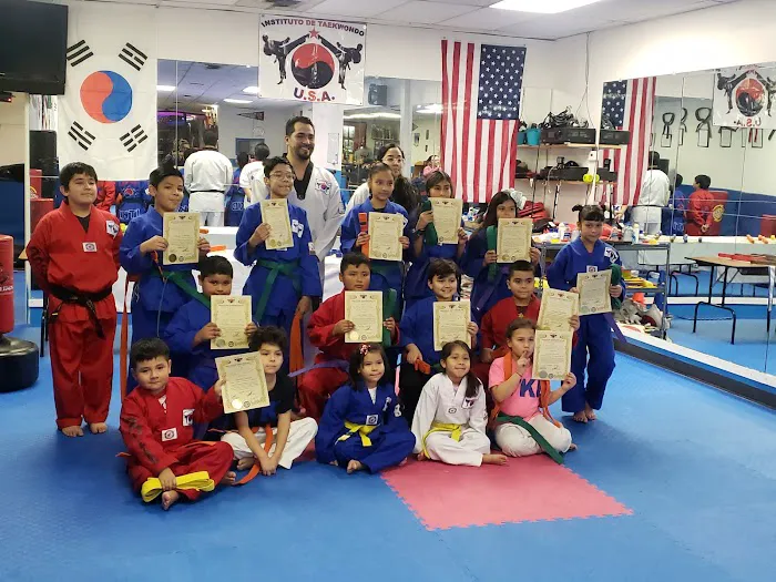 Instituto de Taekwondo USA Picture 4