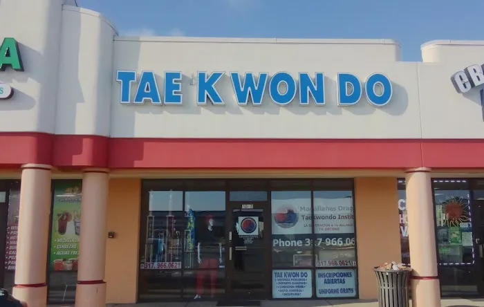 Instituto de Taekwondo USA Picture 5