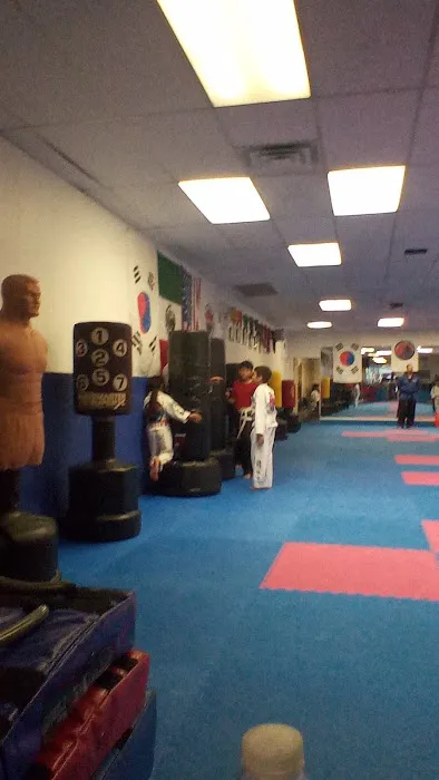 Instituto de Taekwondo USA Picture 7