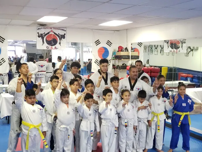Instituto de Taekwondo USA Picture 6