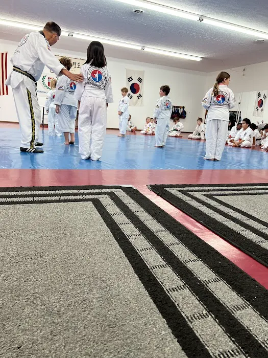 Choi Martial Arts Academy LLC Picture 1