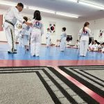 Choi Martial Arts Academy LLC