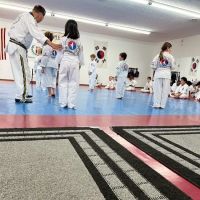 Choi Martial Arts Academy LLC ico