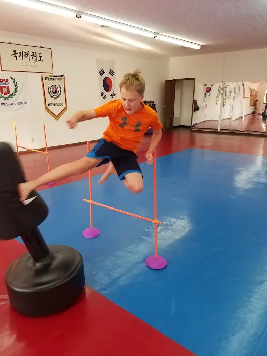 Choi Martial Arts Academy LLC Picture 5