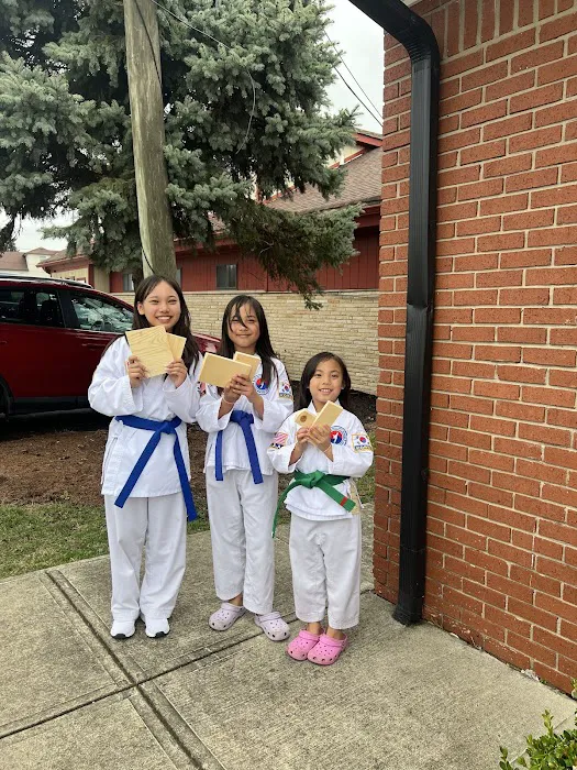 Choi Martial Arts Academy LLC Picture 8