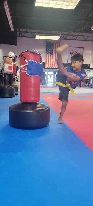 Instituto de Taekwondo USA Picture 1