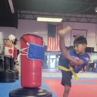 Instituto de Taekwondo USA ico