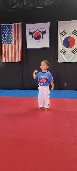 Instituto de Taekwondo USA Picture 4