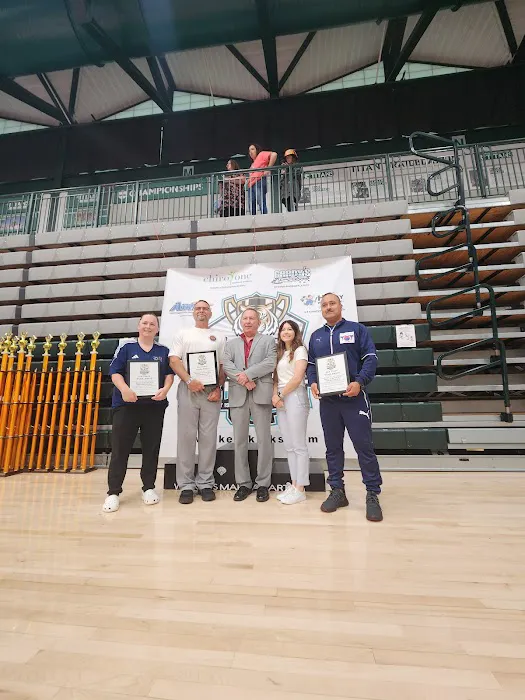 Instituto de Taekwondo USA Picture 3