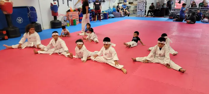Instituto de Taekwondo USA Picture 5