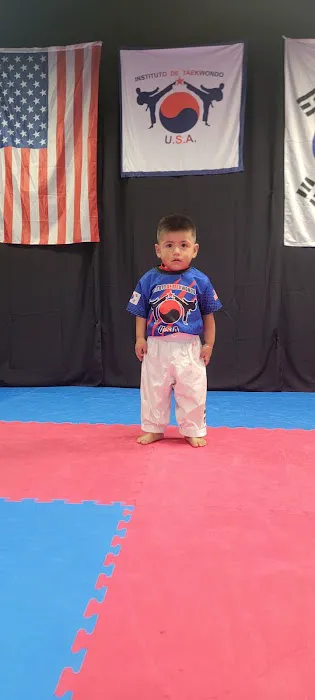 Instituto de Taekwondo USA Picture 10