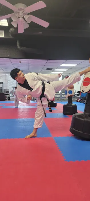 Instituto de Taekwondo USA Picture 8