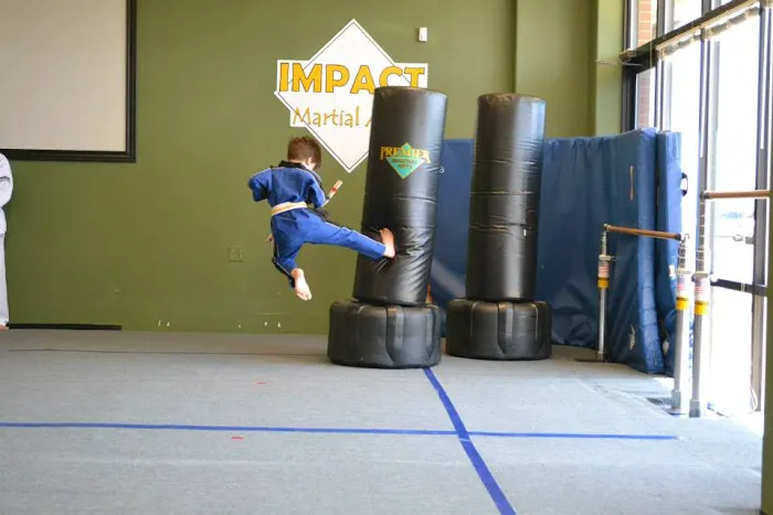 Impact Martial Arts Picture 3