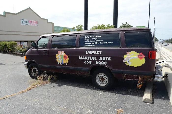Impact Martial Arts Picture 6