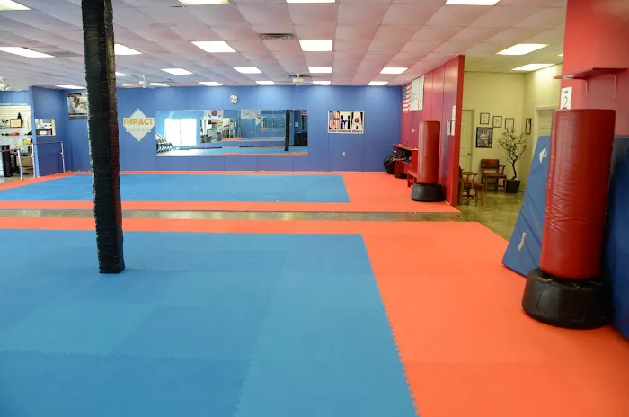 Impact Martial Arts Picture 8