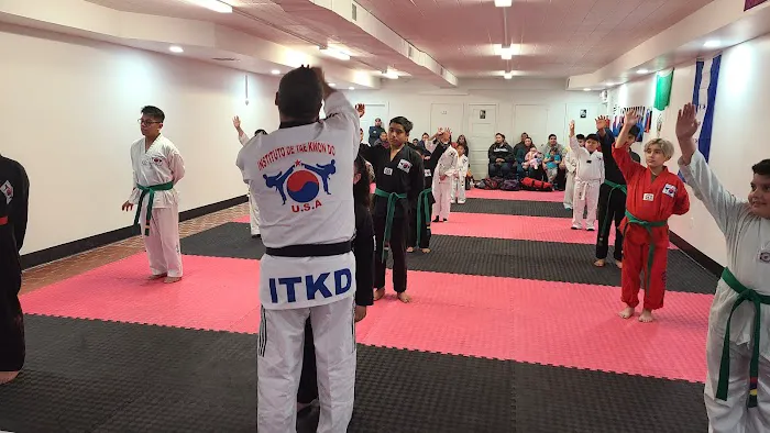 Instituto de teakwondo east Picture 3