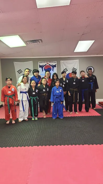 Instituto de teakwondo east Picture 4