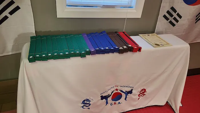 Instituto de teakwondo east Picture 7