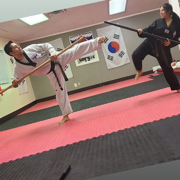 Instituto de teakwondo east Picture 10