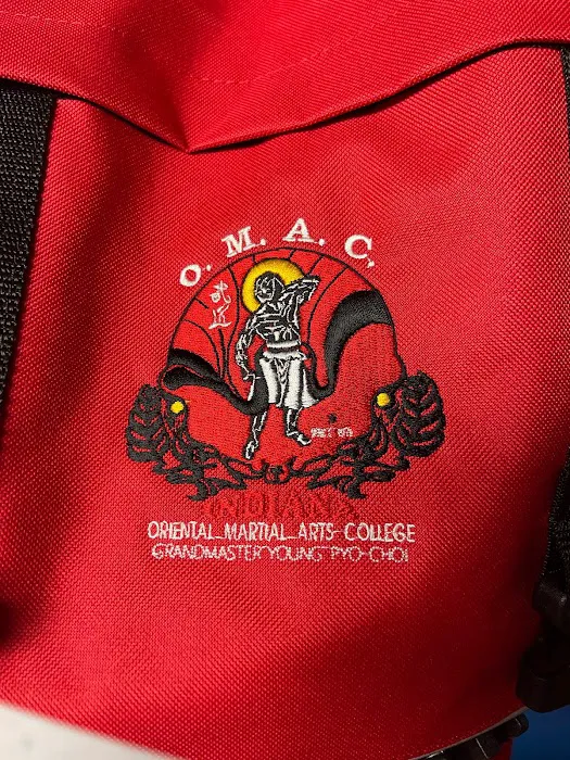 Oriental Martial Arts College of Indiana - North Picture 2
