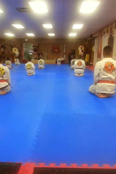 Oriental Martial Arts College of Indiana - North Picture 3