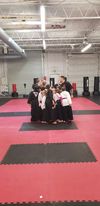 The Way Martial Arts Picture 2