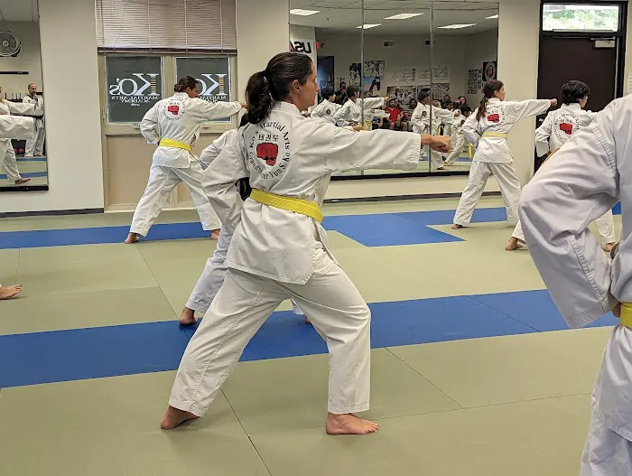 Grand Master Ko's Martial Arts Academy Picture 8