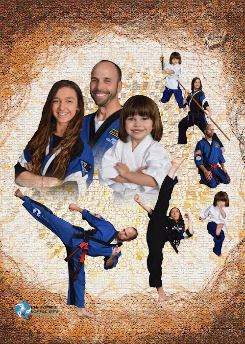 Life Systems Martial Arts, Inc. Picture 3