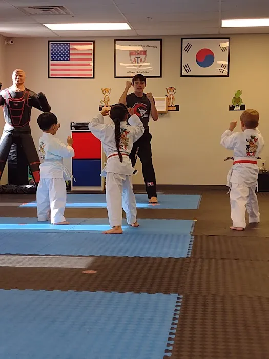 Pilsung ATA Martial Arts Picture 2