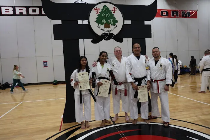 Family Karate Academy USA Picture 2
