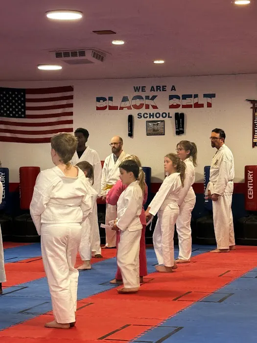 Family Karate Academy USA Picture 6